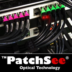 PatchSEE